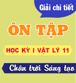 Ôn tập Học kỳ I (CTST_11)
